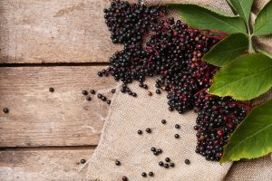 Elderberry Tea